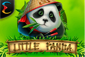 Little Panda